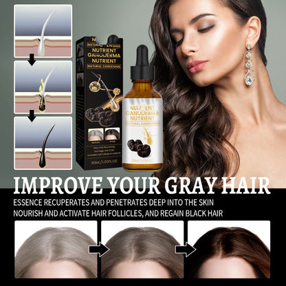 Moisture Restore Hair Repair Cream